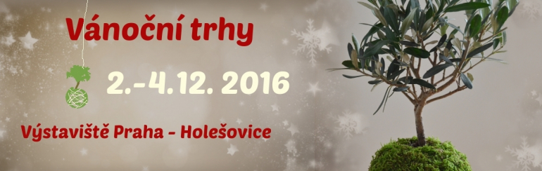Vánoční trhy 2016