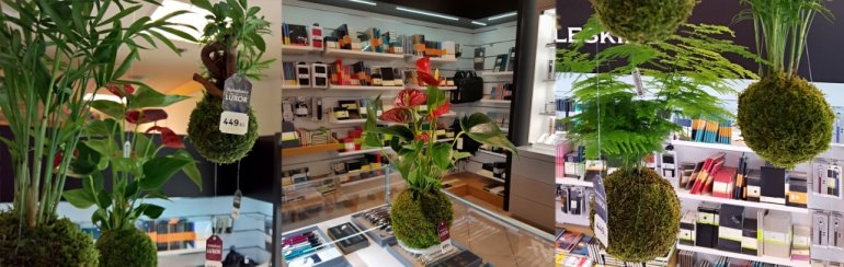 Kokedamy Václavské náměstí