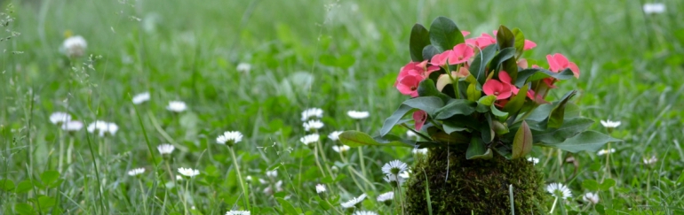 Jarní řemeslné trhy v Berouně 2018