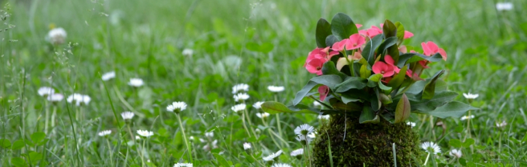 Jarní řemeslné trhy v Berouně 2018