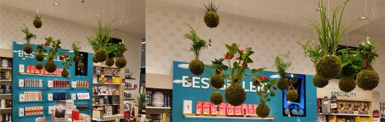 Kokedamy Mladá Boleslav