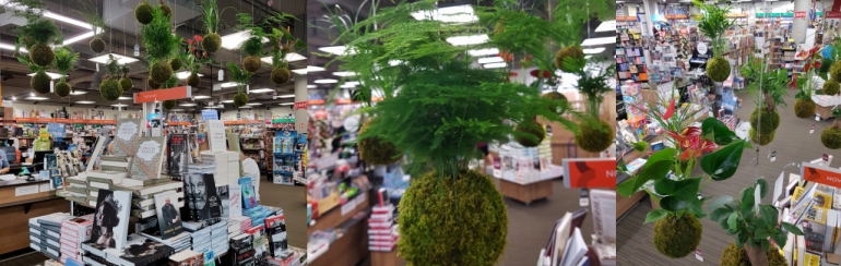 Kokedamy OC Nový Smíchov