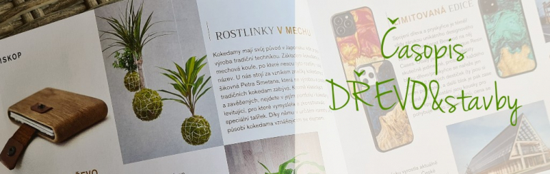 Časopis DŘEVO&stavby