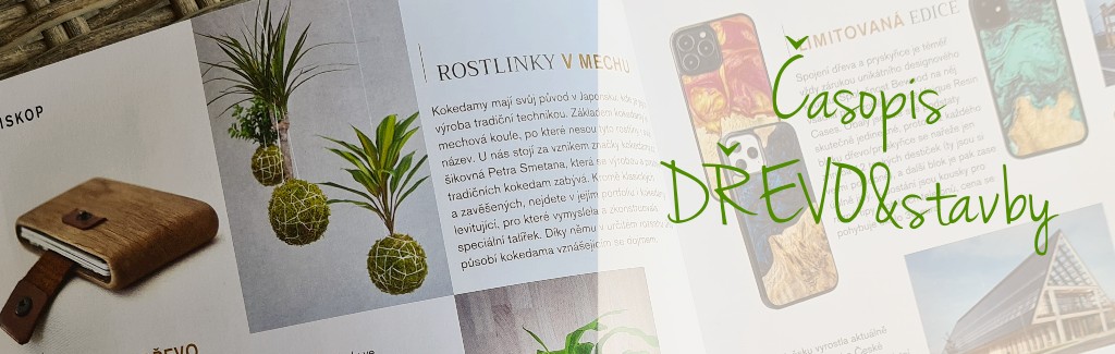Časopis DŘEVO&stavby