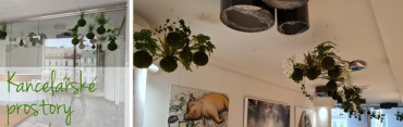 Zeleň v kancelářích na Václavském náměstí